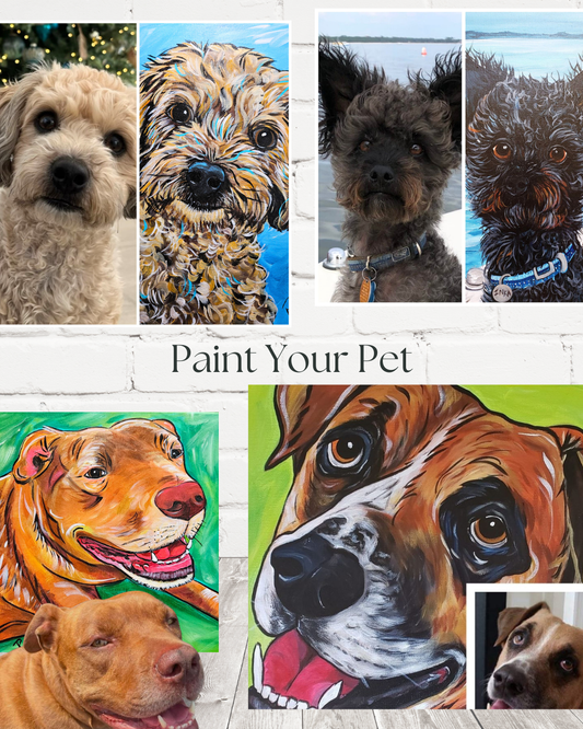 Paint Your Pet Class